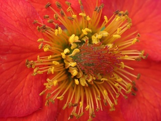P9280238a.jpg